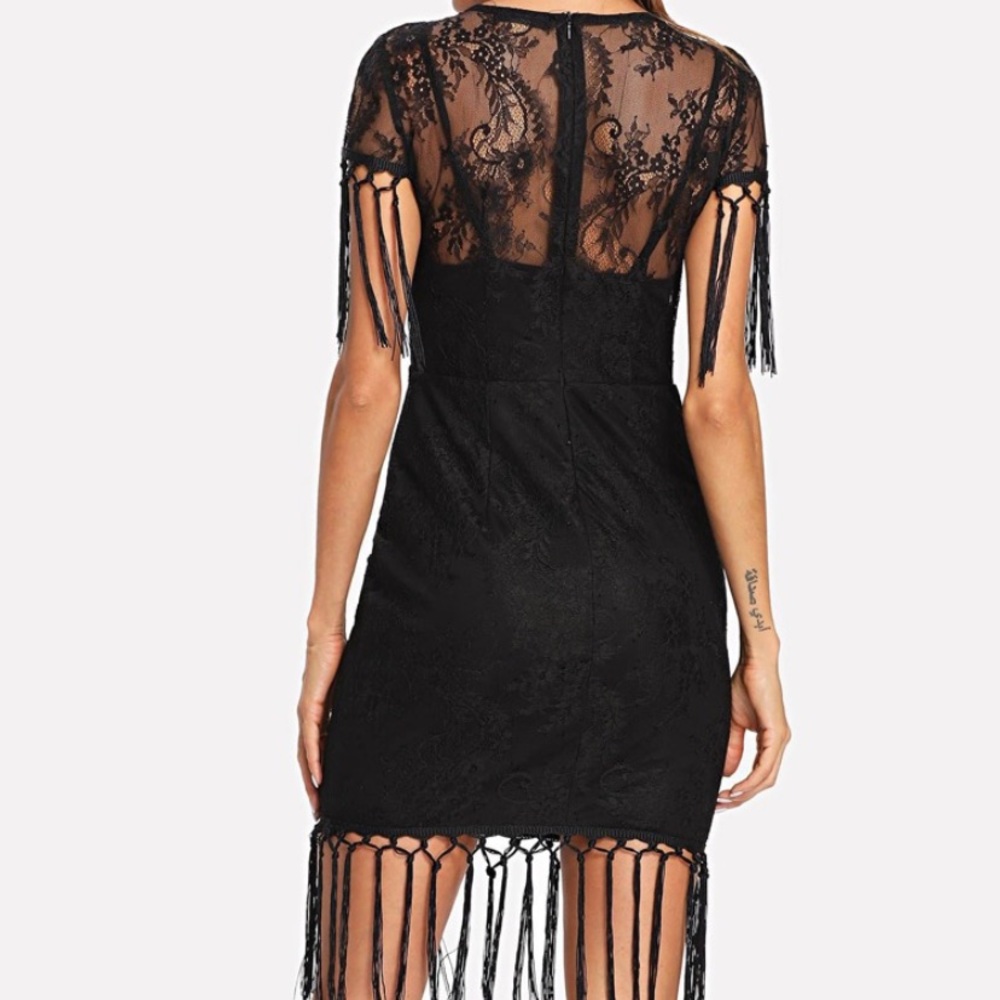 New Fringe Embellished Zip Back Lace Dress - Picture 4 of 5